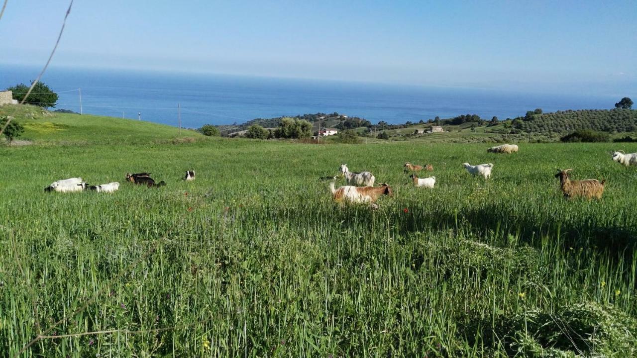 Agriturismo Masseria Tufaro Villa Albidona Eksteriør billede